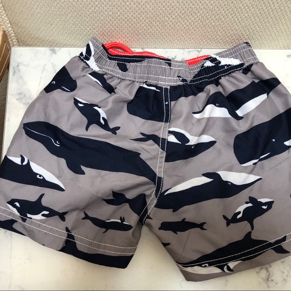 Carter’s Swim Trunks Set of 2 Size 24 months - Picture 5 of 6